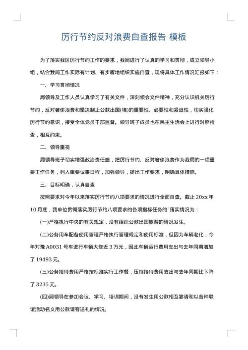 厉行节约反对浪费自查报告