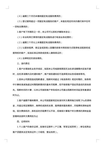 国际DNS服务条款
