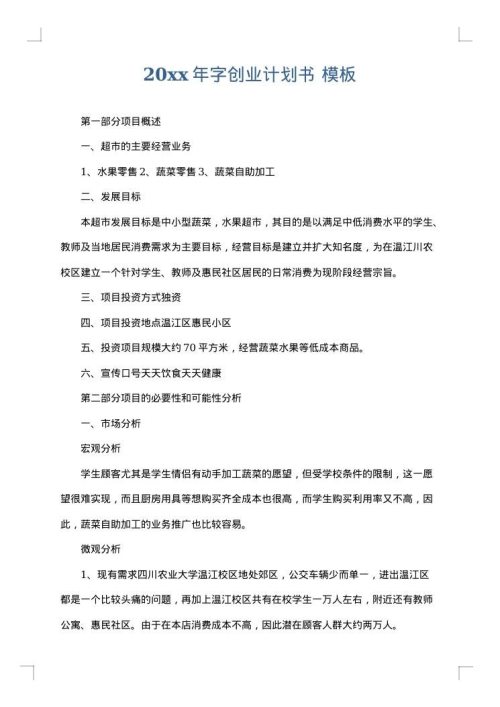 2025年字创业计划书