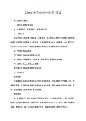 2025年字创业计划书