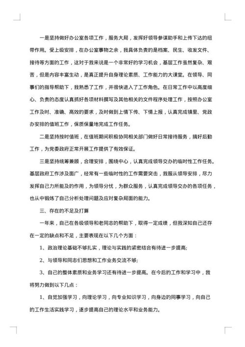乡镇党政办公室个人年终工作总结