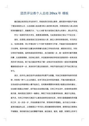 团员评议表个人总结2025年