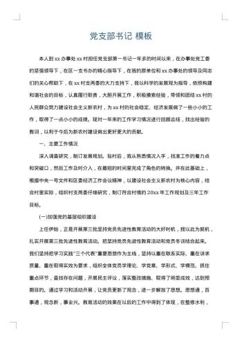 党支部书记