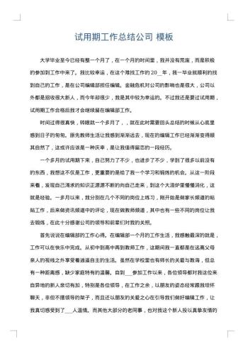 试用期工作总结公司