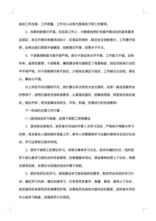 2025年党支部述职报告