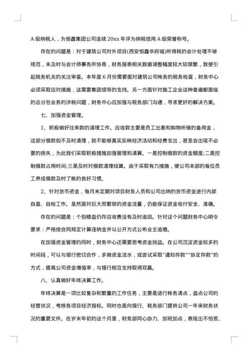 2025年财务年度总结范文