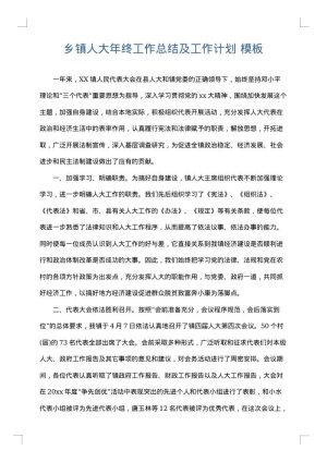 乡镇人大年终工作总结及工作计划