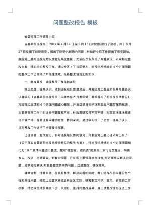 问题整改报告