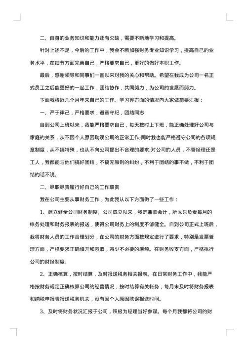 出纳试用期转正工作总结范文2025年