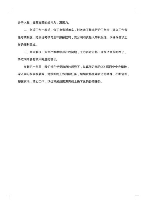 村党支部年终工作总结