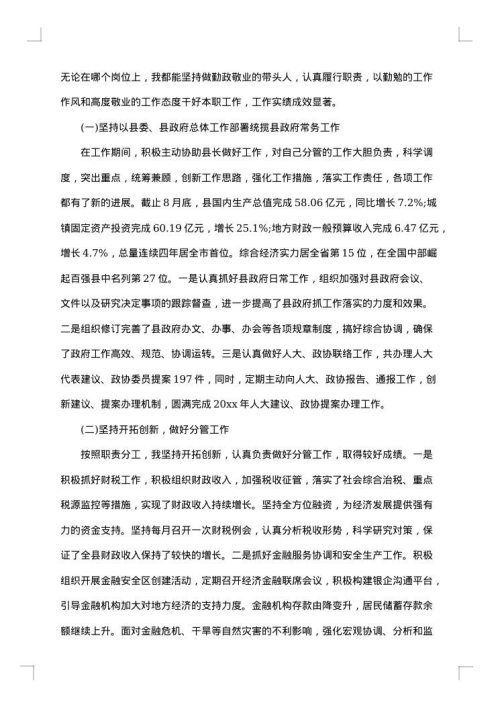2025年局长述职述廉报告