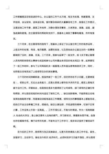 20xx年企业员工试用期工作总结