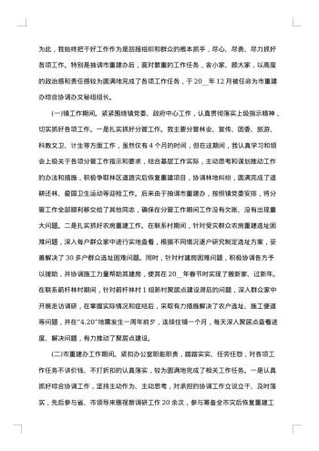 述职述责述廉报告