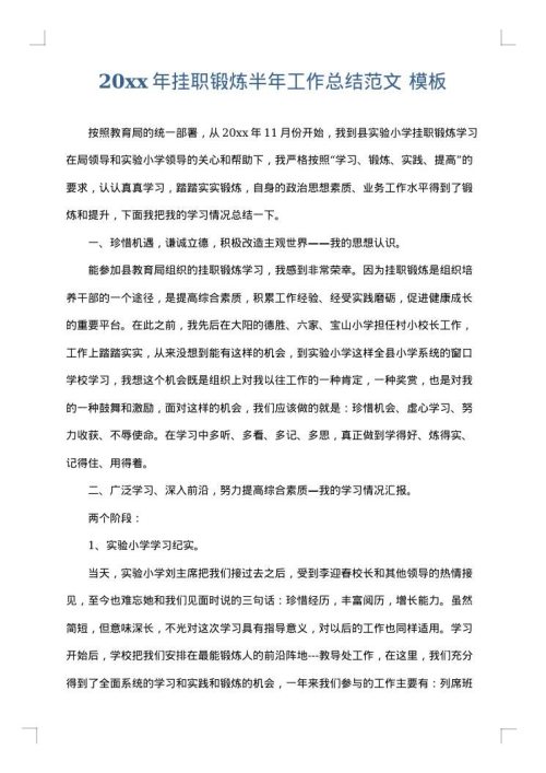 2025年挂职锻炼半年工作总结范文