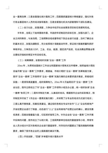 统计局20xx年上半年工作总结及下半年工作计划