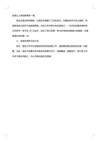 20xx年度试用期职工职业小结