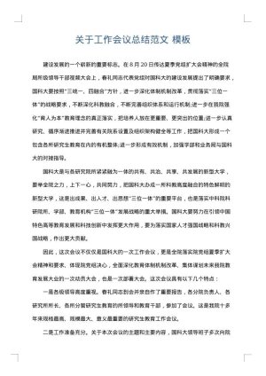 关于工作会议总结范文