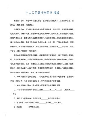 个人公司委托合同书