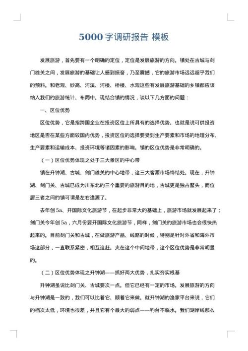 5000字调研报告