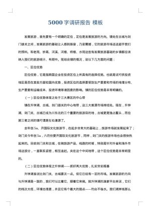 5000字调研报告