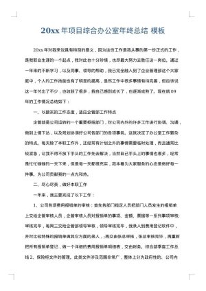 2025年项目综合办公室年终总结