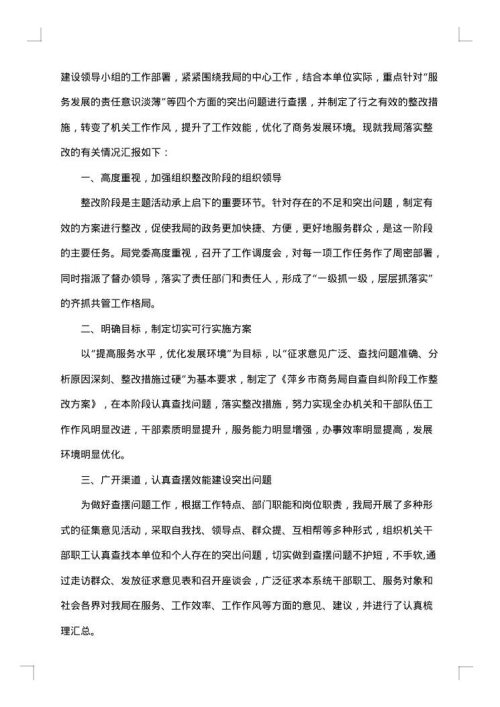 自查自纠整改报告【七篇】