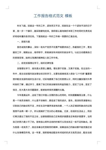 工作报告格式范文