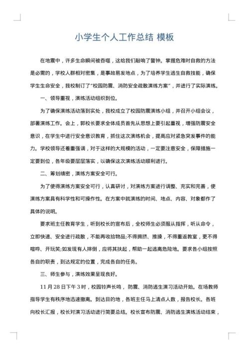 小学生个人工作总结
