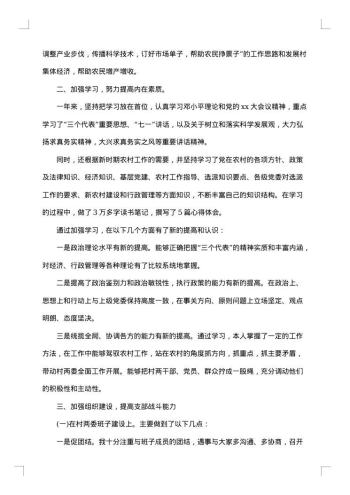 村支书述职述廉报告