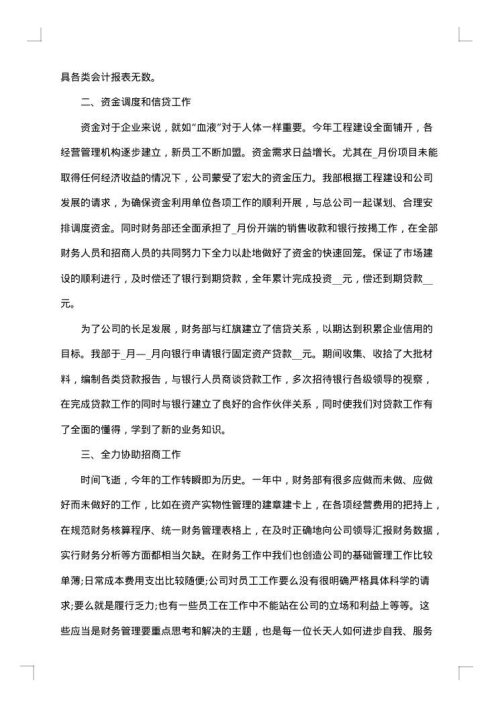 财务总结报告