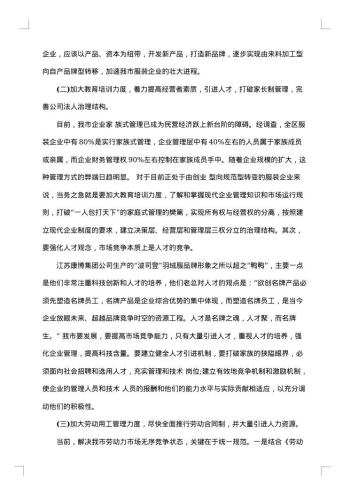 服装的市场调查报告