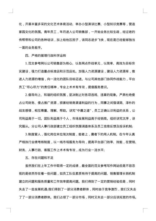 2025年手机销售总结
