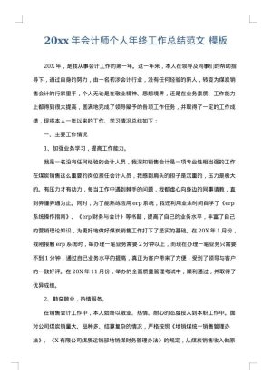 2025年会计师个人年终工作总结范文