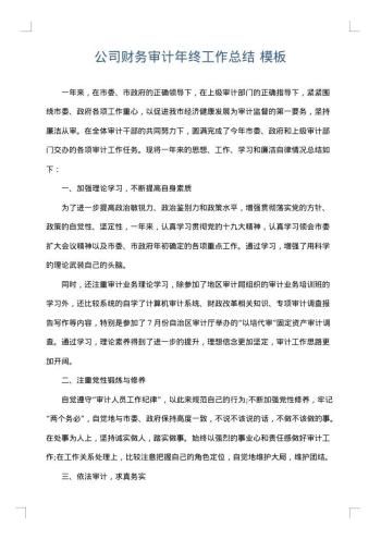 公司财务审计年终工作总结