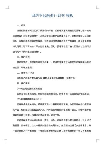 网络平台融资计划书