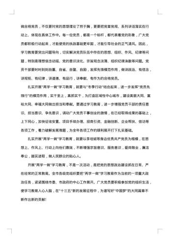 党员总结报告
