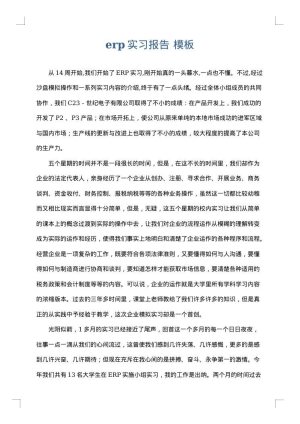 erp实习报告
