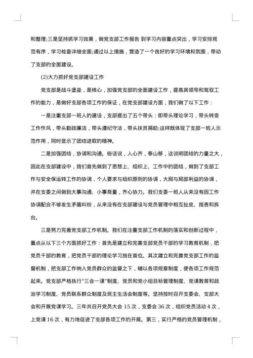 2025年党支部述职报告