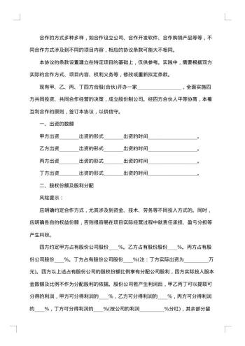 合作前股份持有协议书