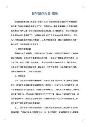 督导整改报告