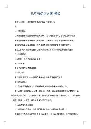 元旦节促销方案