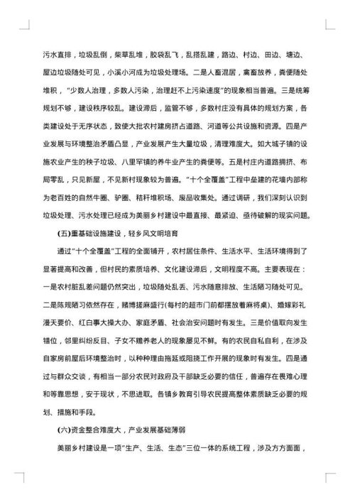 2025年村建设调研报告