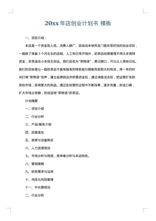2025年店创业计划书