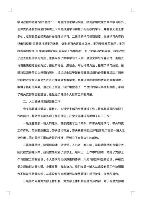 2025年党支部工作报告范文