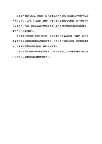 保险公司半年总结报告