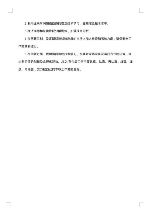 电厂专业技术工作总结