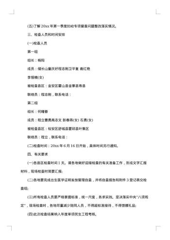 妇幼自查报告