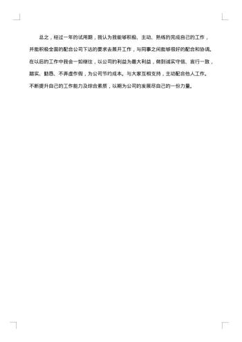 员工试用期总结