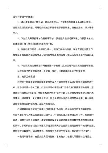 党支部工作总结