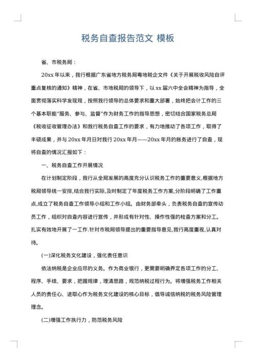 税务自查报告范文